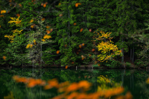 Autumn Color Reflections in the Lake: A Font That Captures Nature's Palette
